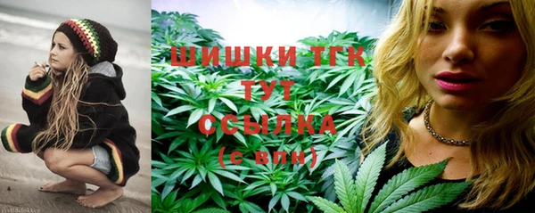 шишки Ахтубинск
